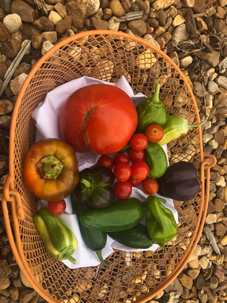 Vegetables from the Red Bud Elementary School garden