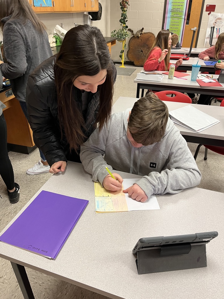 SHS Junior Reese Davis assisting a student with a project